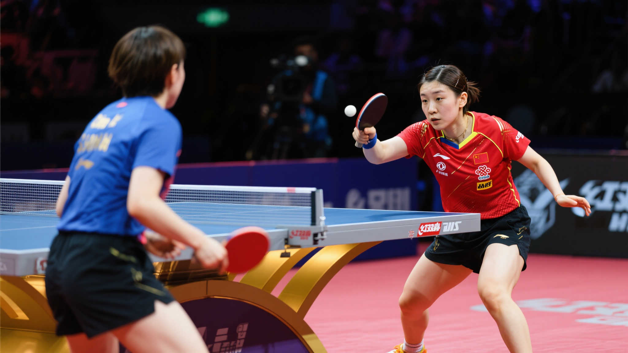 国家队贡献 国家队贡献