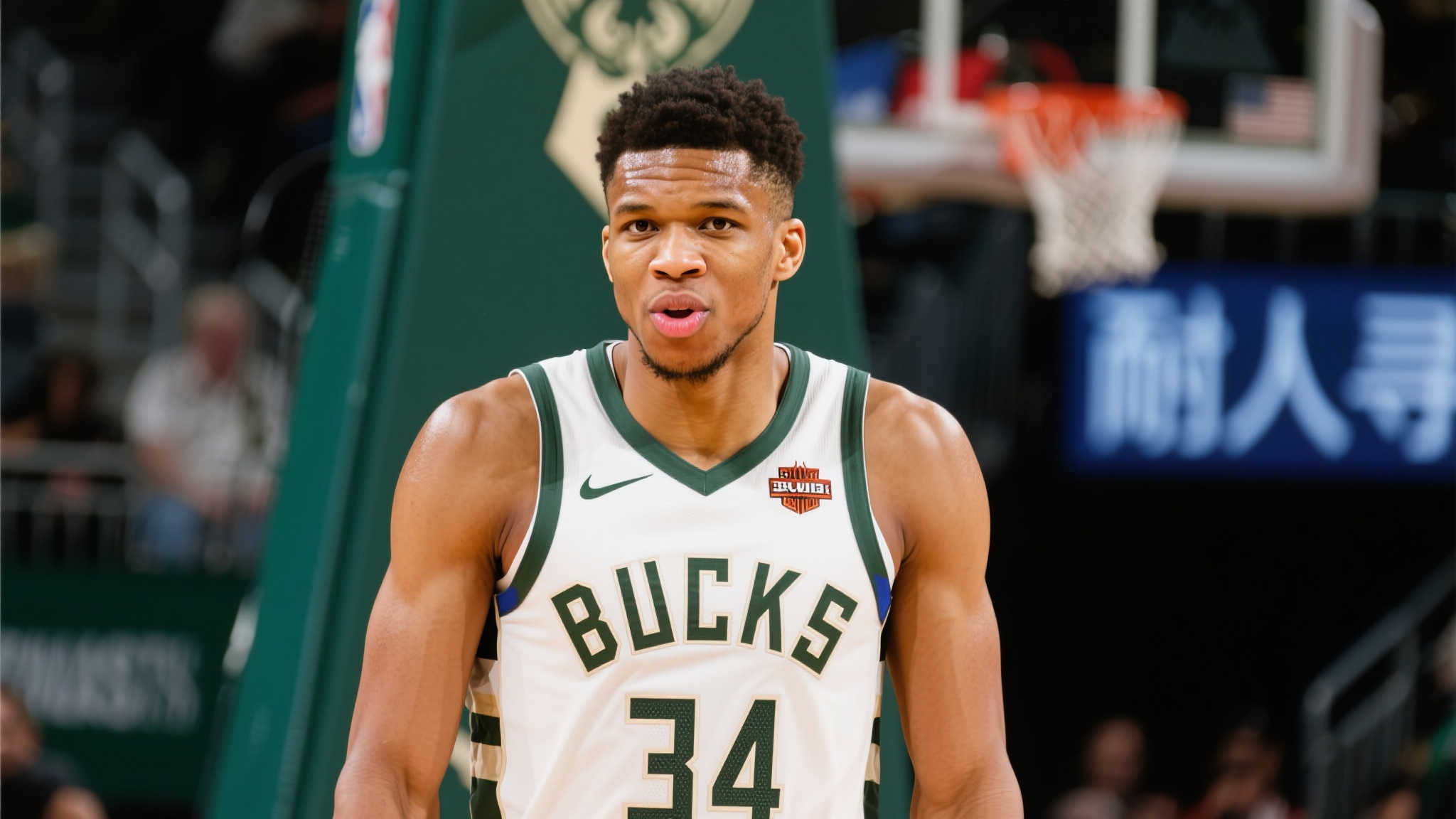 不仅丰富了 不仅丰富了