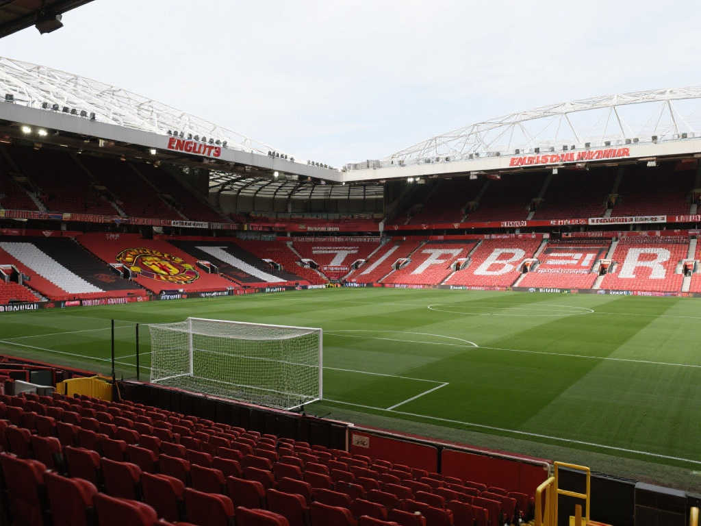 成为了球迷 成为了球迷